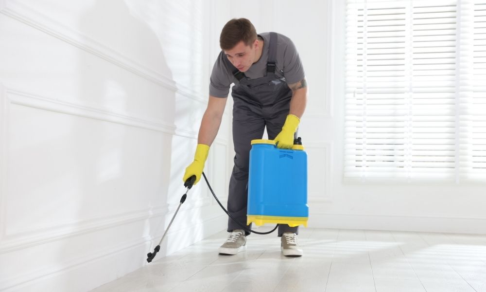 תמונה של קורס למדביר